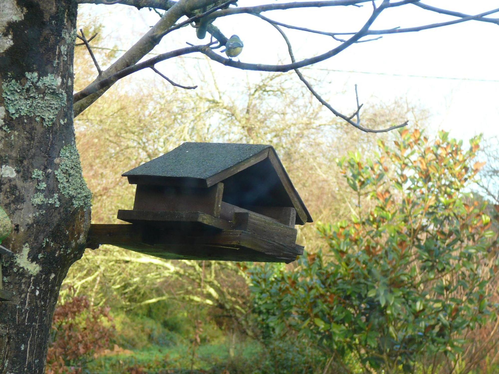 La Ferme De Kerhors Tremeoc Exterior foto